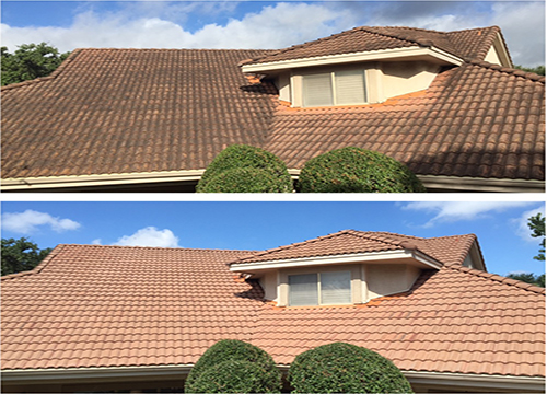 Roof Clean & Restoration