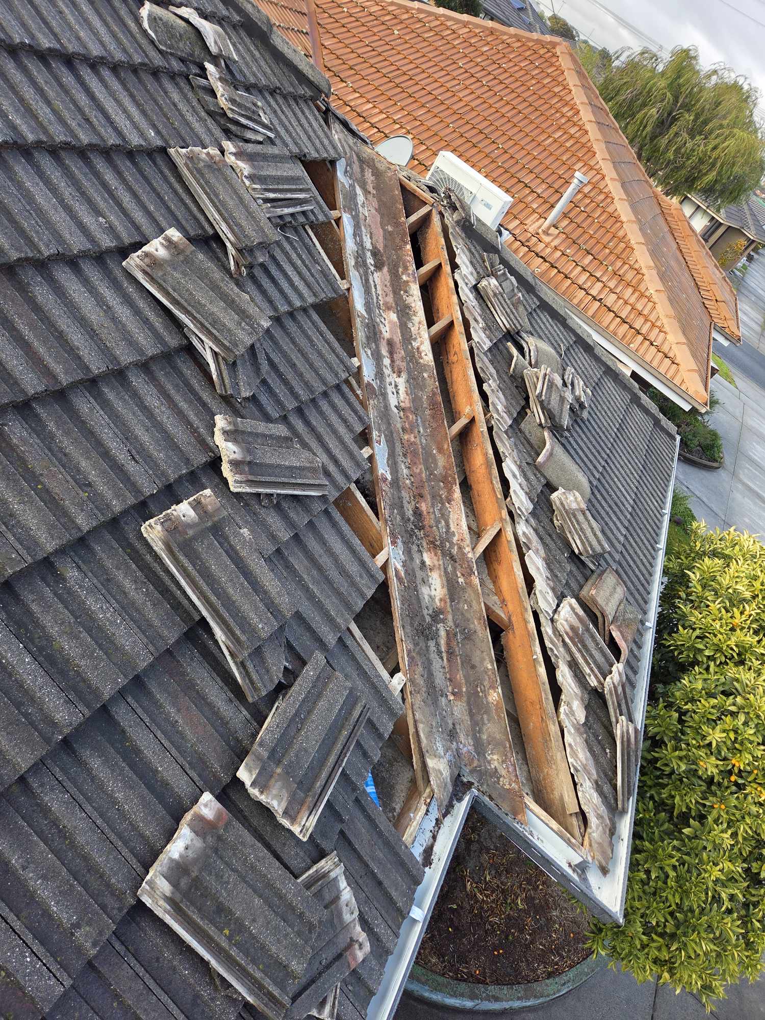 Roof Repairs & Restoration